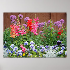 Poster Jardin aux fleurs colorées Photo