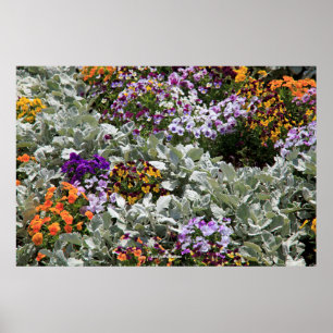 Poster Jardin aux fleurs ensoleillées