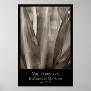 Poster Jardin botanique de San Francisco #1