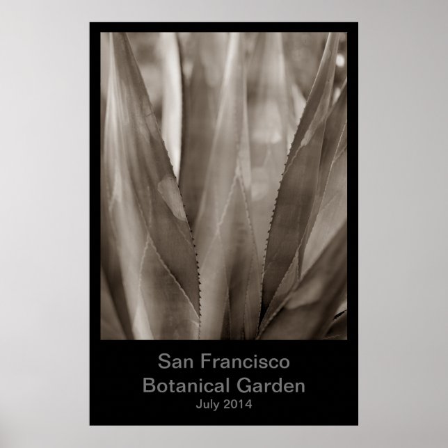 Poster Jardin botanique de San Francisco #1 (Devant)