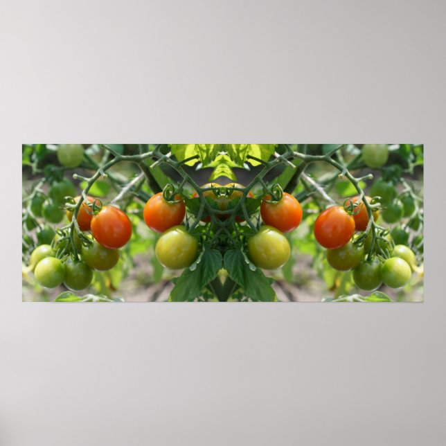 Poster Jardin Cherry Tomates Miroir Abstrait (Devant)