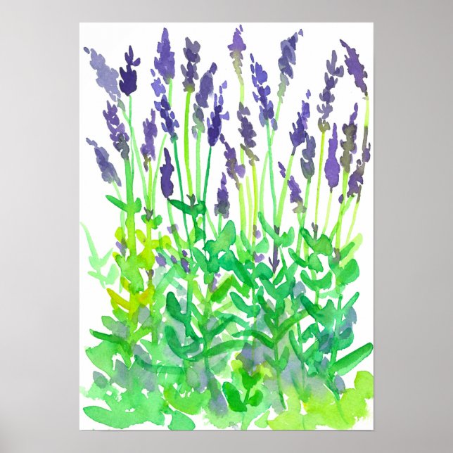 Poster Jardin de fleurs de couleur aquarelle (Devant)