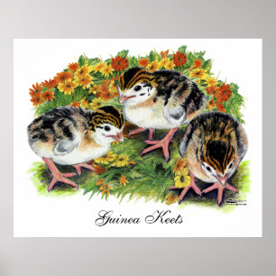 Poster Jardin de fleurs Keets