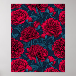 Poster Jardin de pivoine rouge sur bleu foncé
