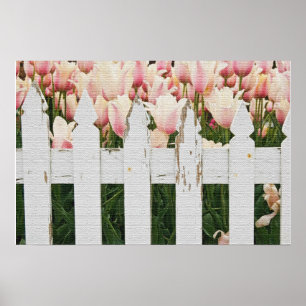Poster Jardin de tulipes roses hollandaises