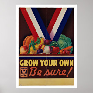 Poster Jardin de victoire - patriotisme vintage