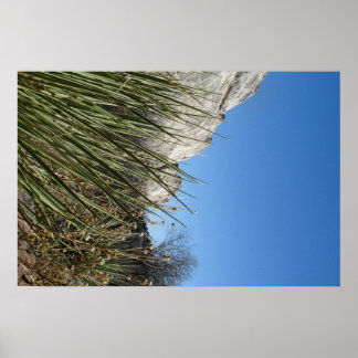 Poster Jardin des Dieux
