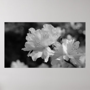 Poster Jardin des fleurs