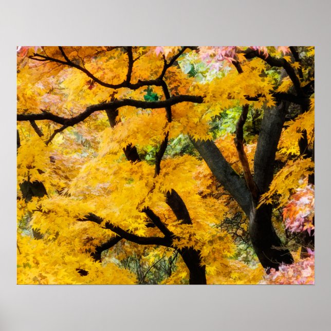 Poster Jardin des Zen (Devant)