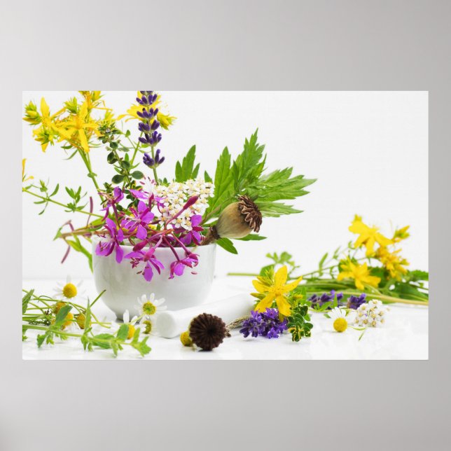 Poster Jardin d'herbes (Devant)