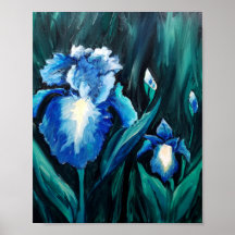 Jardin d'Iris à barbe bleue