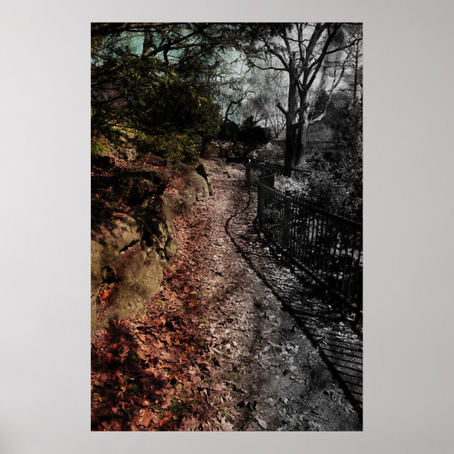 Poster Jardin du bien et du mal...Je marche la ligne (Devant)