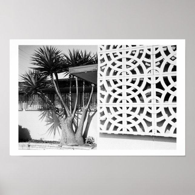 Poster Jardin du milieu du siècle (Devant)