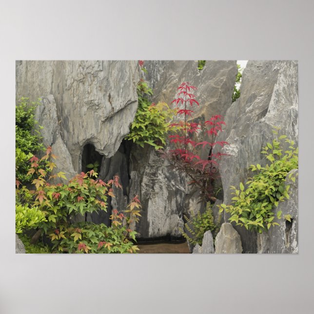 Poster Jardin familial de Bao, Huangshan, Chine. (Devant)