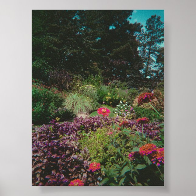 Poster Jardin Fleur sauvage vintage (Devant)