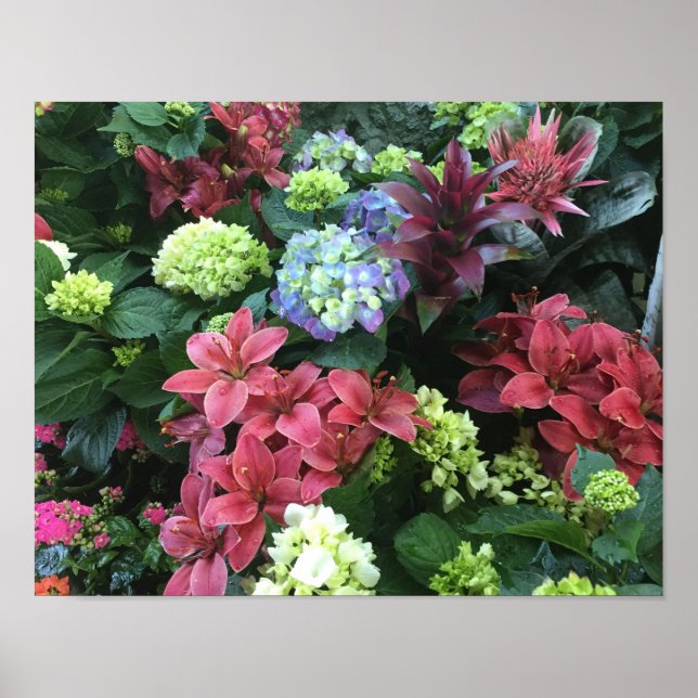 Poster Jardin fleuri (Devant)