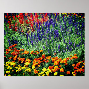 Poster Jardin Fleuri Coloré En Été