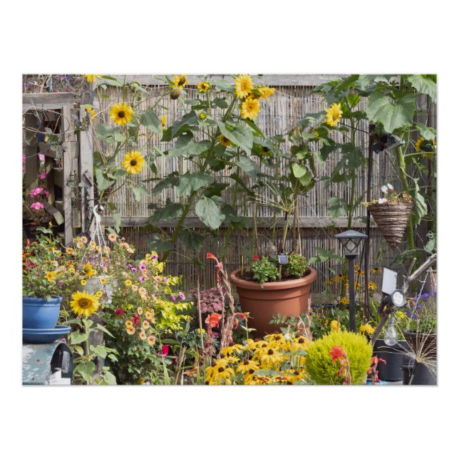 Poster Jardin fleuri et bateau étroit (Devant)