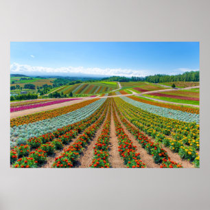 Poster Jardin fleuri   Shikisai No Oka Flower Farm