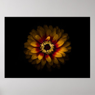 Poster Jardin Fleurs No 69 Version couleur