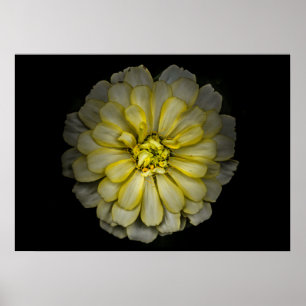 Poster Jardin Fleurs No 86 Version couleur