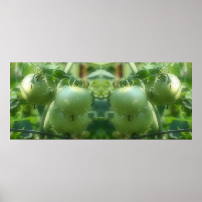 Poster Jardin Green Tomates Nature Miroir Abstrait (Devant)
