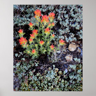 Poster Jardin miniature au lac Gem