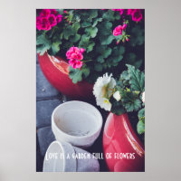 Jardin rose et blanc fleurs de géranium