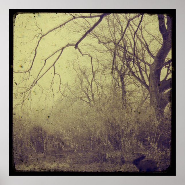 Poster Jardin secret (Devant)