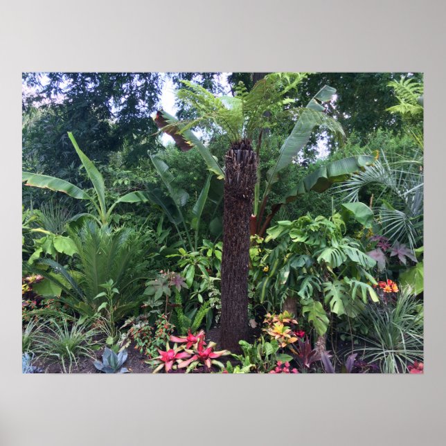 Poster Jardin tropical (Devant)