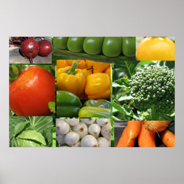 Poster Jardin végétal jardin (Devant)