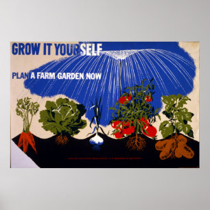 Poster Jardin victorieux de la Seconde Guerre mondiale vi