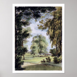 Poster Jardins de Kew : Une série de vingt-quatre dessins