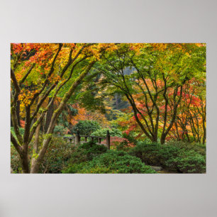 Poster Jardins Japonais En Automne À Portland, Oregon 4