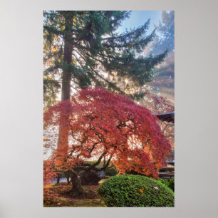 Poster Jardins japonais en automne à Portland, Oregon 6