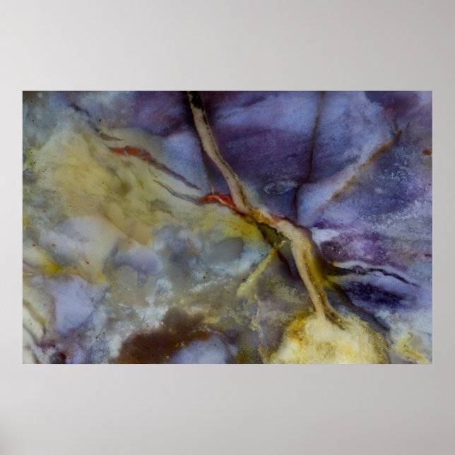 Poster Jasper violet (Devant)