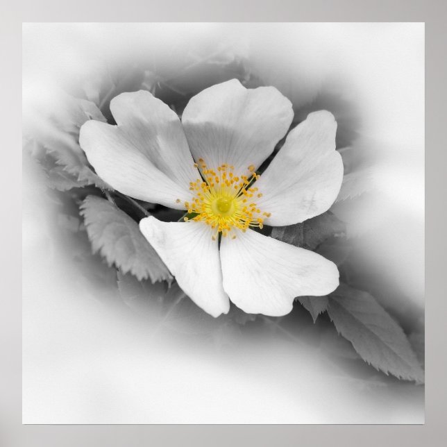 Poster jaune dans les tons gris (Devant)