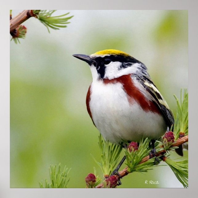 Poster Jaune d'oiseaux (Devant)
