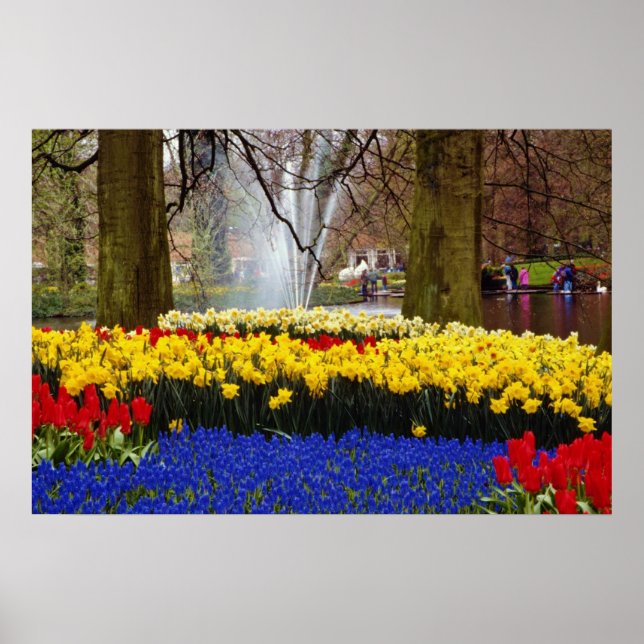 Poster Jaune Keukenhof jardins, Amsterdam, Pays-Bas f (Devant)