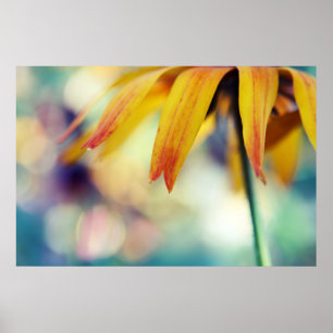 Poster Jaune Rudbeckia Fleur Pétale Macro Abstrait