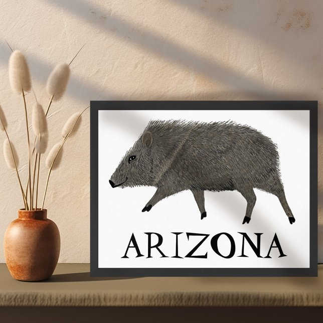 Poster Javelina Desert Animaux ARIZONA Art (Javelina Desert Animals ARIZONA Wall Art Poster )