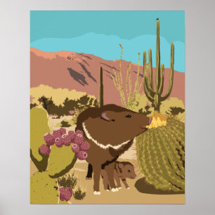 Poster Javelina du sud-ouest de 20 po x 16 po