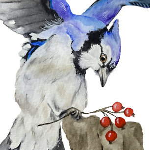 Poster Jay bleu d'oiseau de la forêt