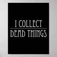Je collectionne les choses mortes Taxidermy Taxide