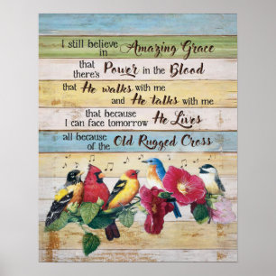 Poster Je Crois Toujours Aux Oiseaux De Grâce Extraordina