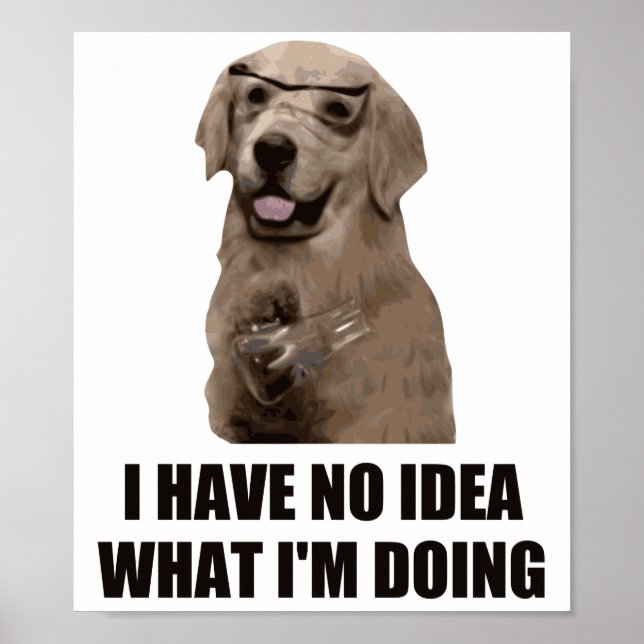 Poster Je n'ai aucune idée de ce que je fais (Devant)