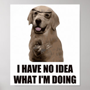 Poster Je n'ai aucune idée de ce que je fais