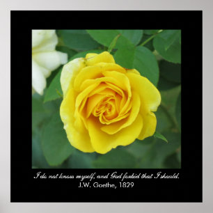 Poster Je ne me connais pas. . . (Goethe)