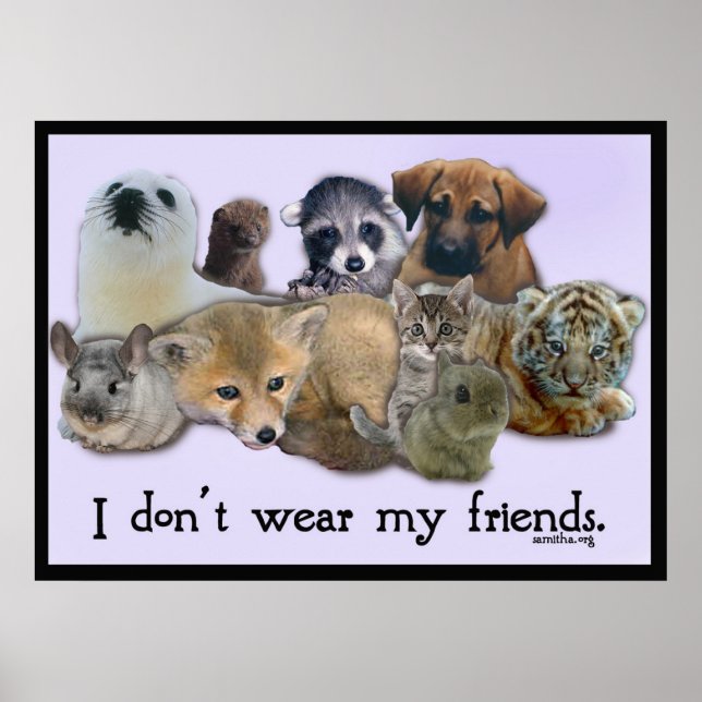 Poster Je ne porte pas mes amis (Devant)