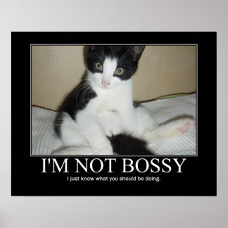 Poster Je ne suis pas Bossy Cat